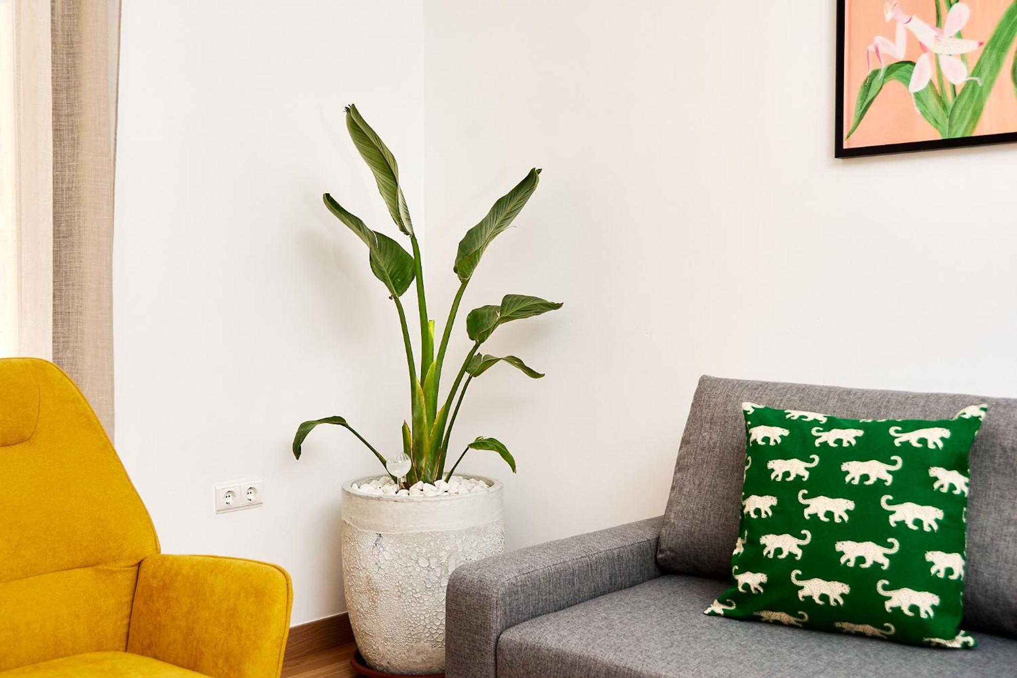 Que Bueno Que Viniste Caceres Apartment Exterior photo
